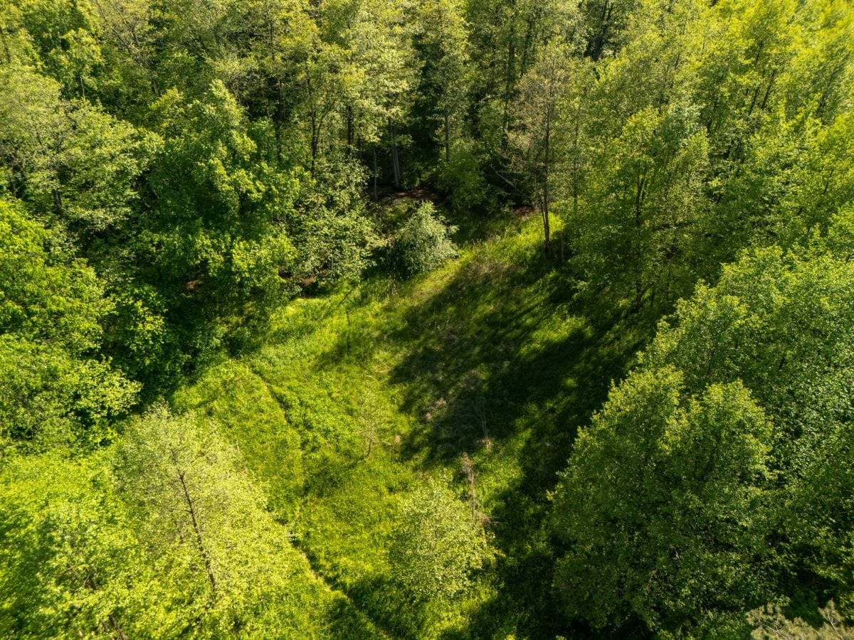 Dom 5 pokojowe na Sprzedaż
