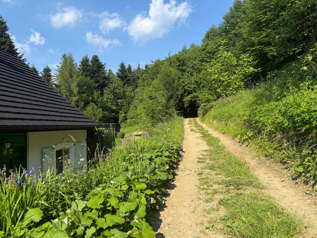 Dom 4 pokojowe na Sprzedaż