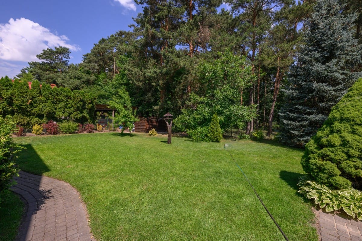 Dom 6 pokojowe na Sprzedaż