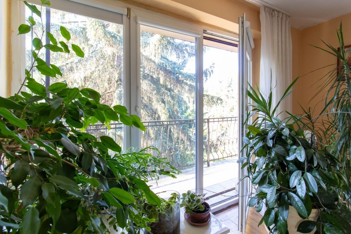 Dom 7 pokojowe na Sprzedaż