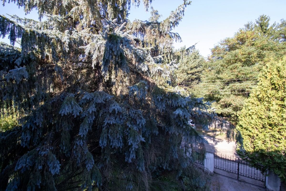 Dom 7 pokojowe na Sprzedaż