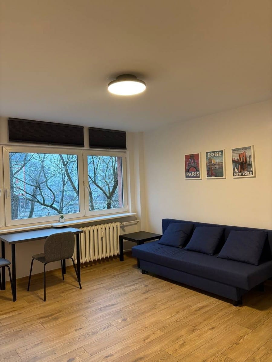 Mieszkanie 1 pokojowe na Wynajem