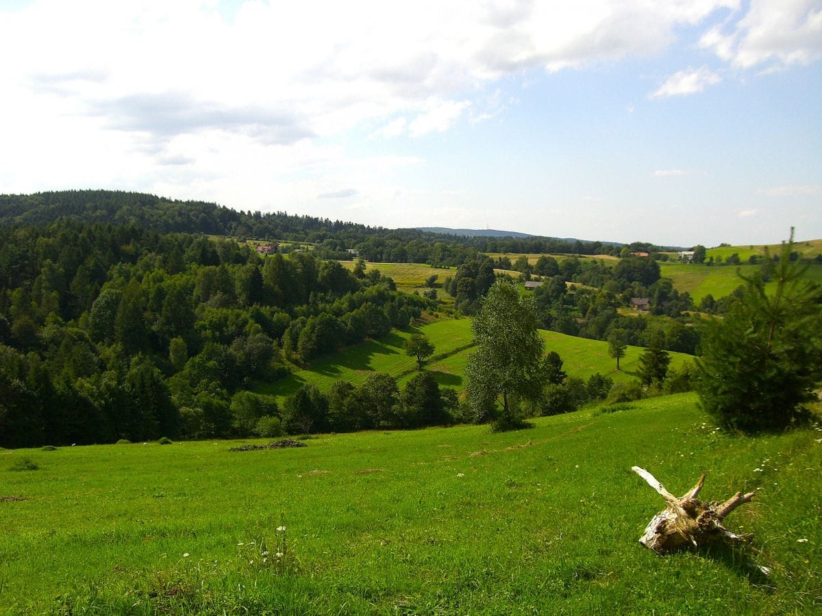 Działka  pokojowe na Sprzedaż