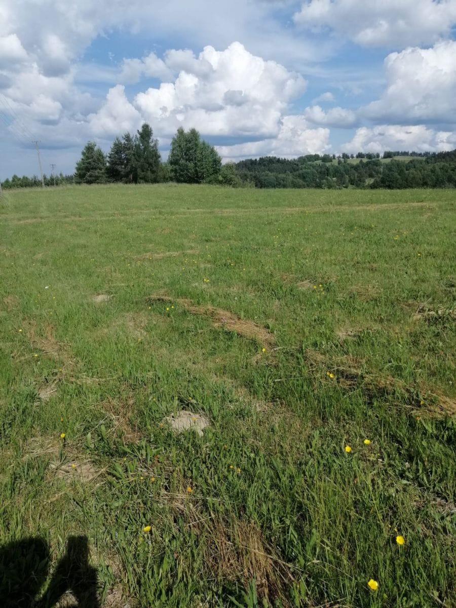 Działka  pokojowe na Sprzedaż