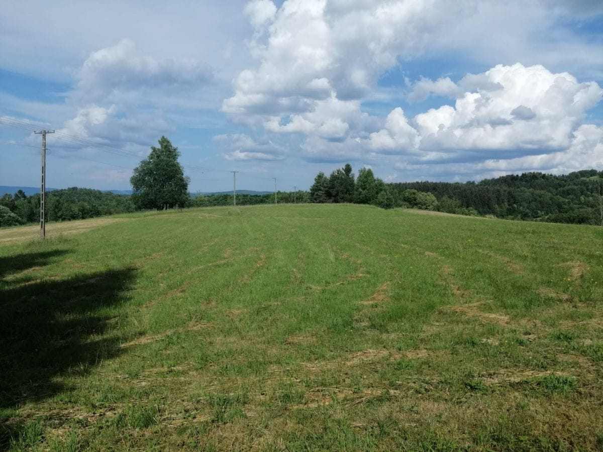 Działka  pokojowe na Sprzedaż