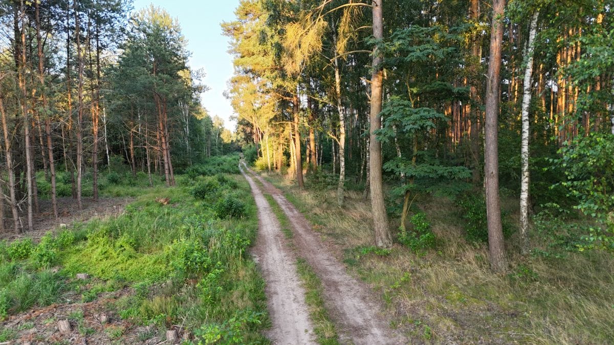 Działka  pokojowe na Sprzedaż