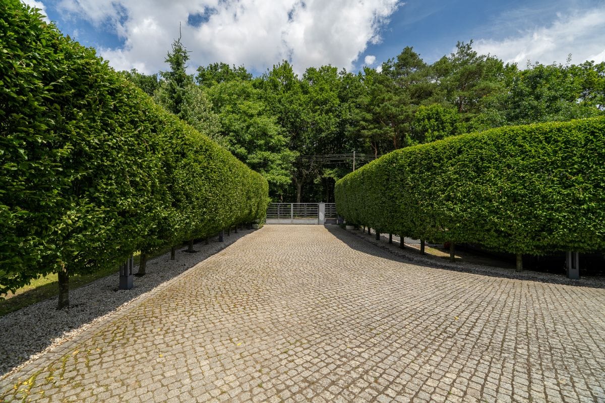 Dom  pokojowe na Sprzedaż