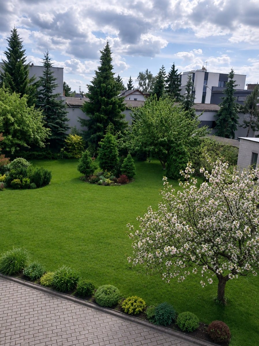 Dom 5 pokojowe na Sprzedaż