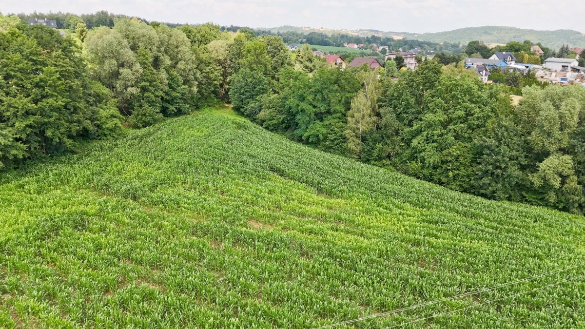 Działka  pokojowe na Sprzedaż