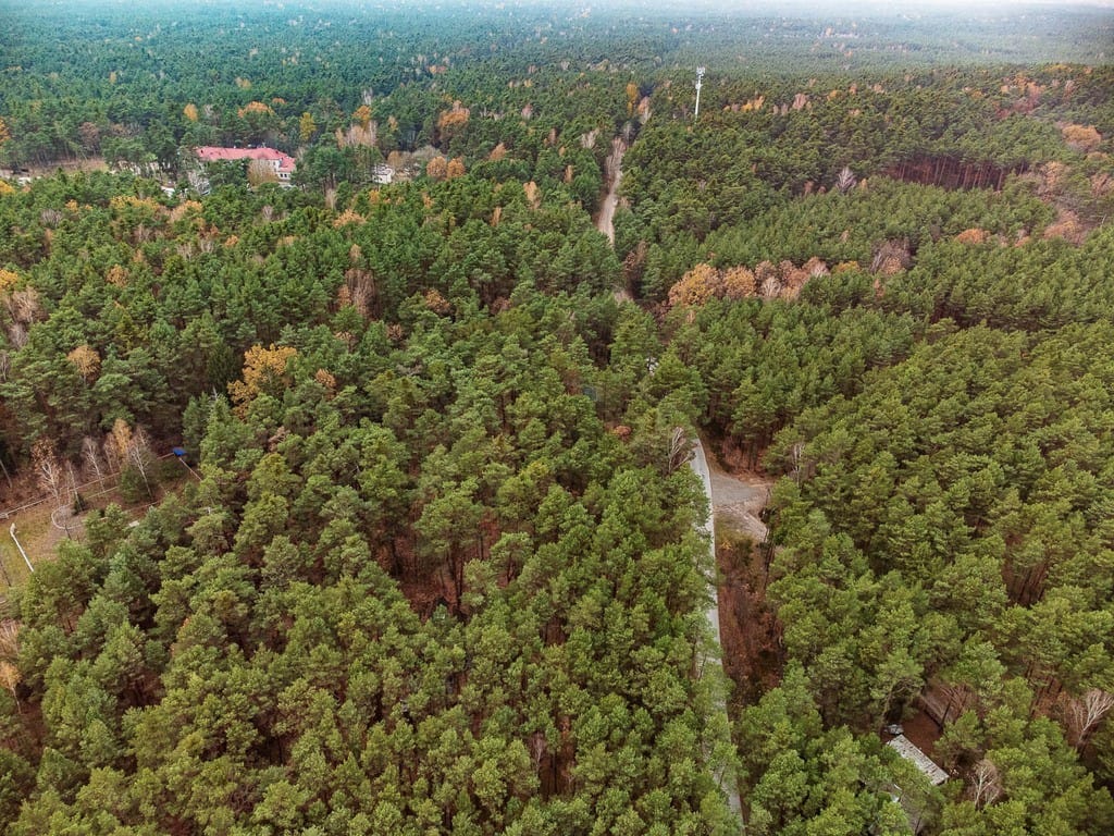 Dom 4 pokojowe na Sprzedaż