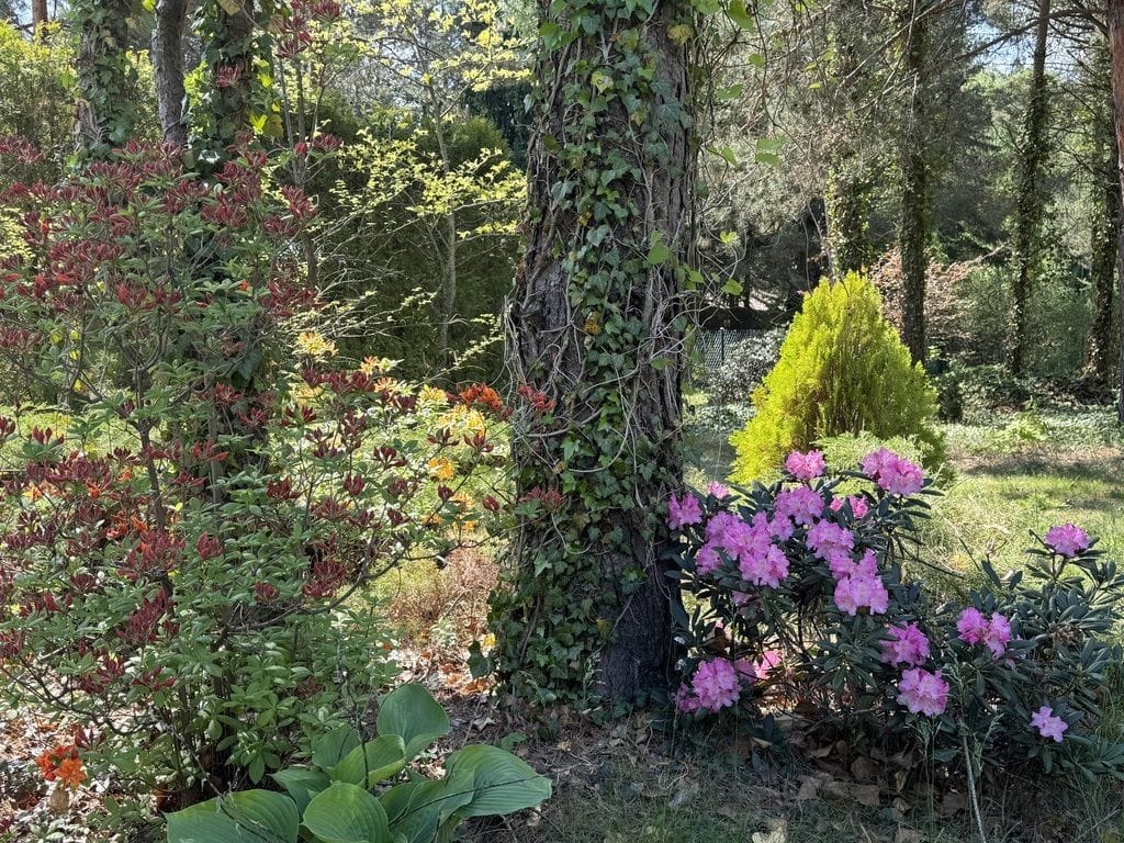Dom 3 pokojowe na Sprzedaż