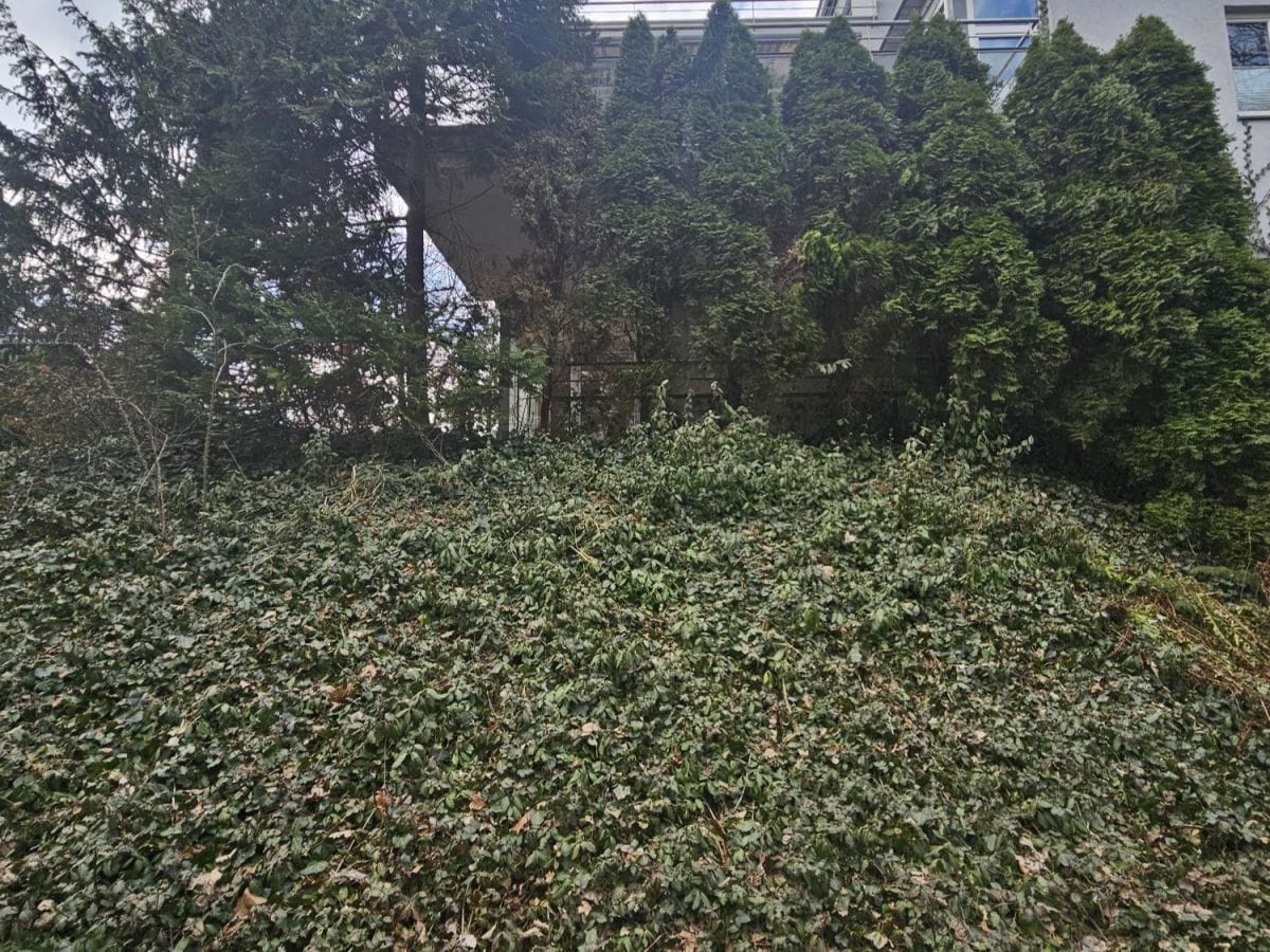 Mieszkanie 4 pokojowe na Sprzedaż