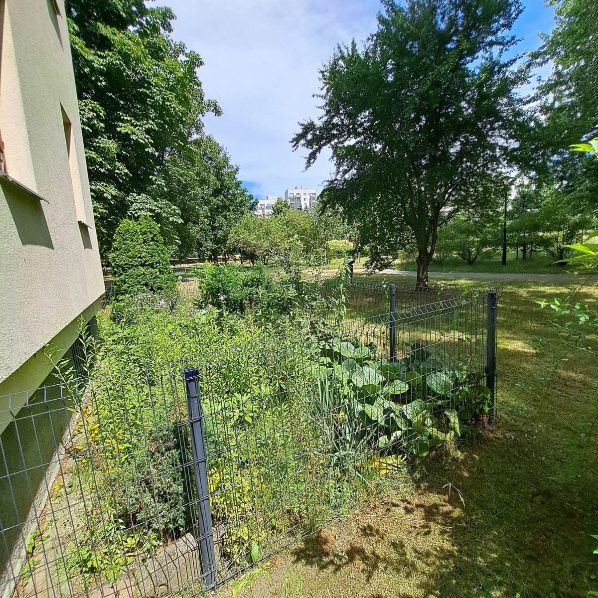 Lokal użytkowy  pokojowe na Sprzedaż