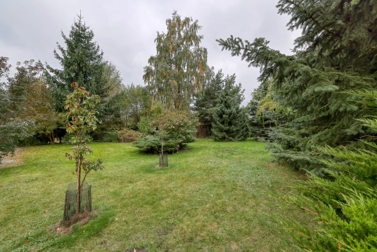 Dom 5 pokojowe na Sprzedaż