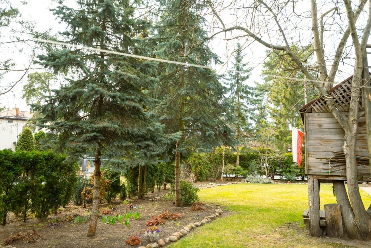 Dom 7 pokojowe na Sprzedaż