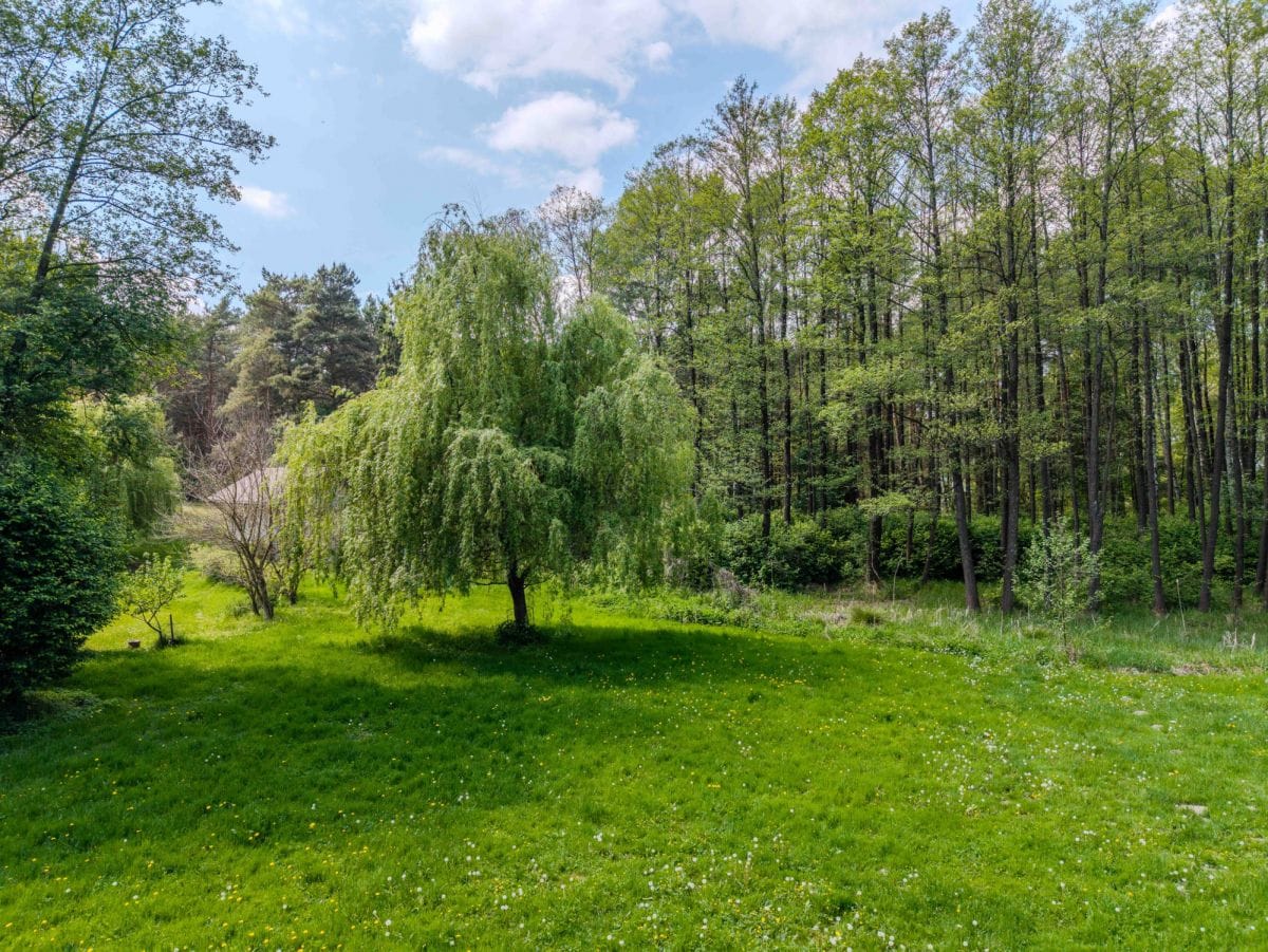 Dom 6 pokojowe na Sprzedaż