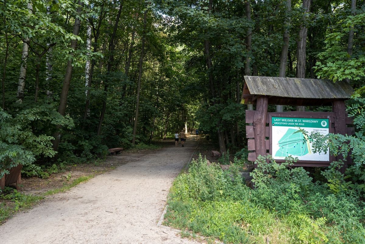 Mieszkanie 2 pokojowe na Wynajem