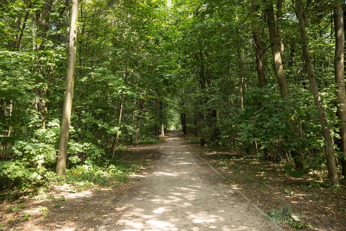 Mieszkanie 2 pokojowe na Wynajem