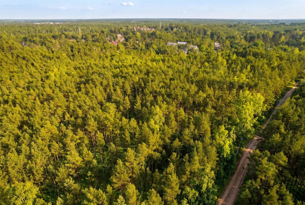 Działka  pokojowe na Sprzedaż