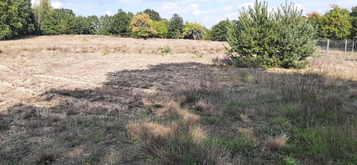 Działka  pokojowe na Sprzedaż