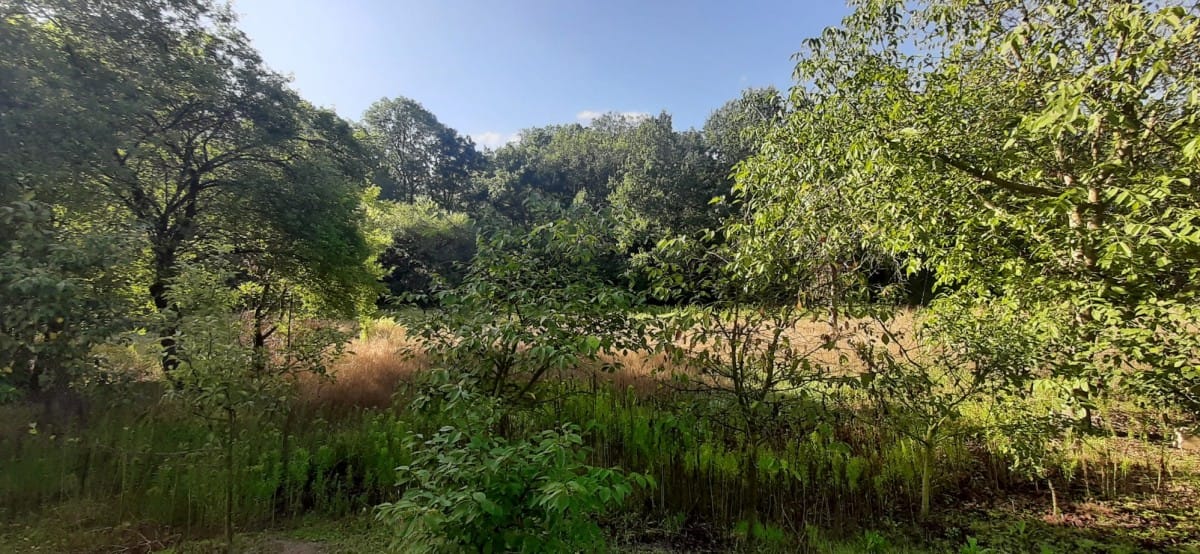 Dom 3 pokojowe na Sprzedaż