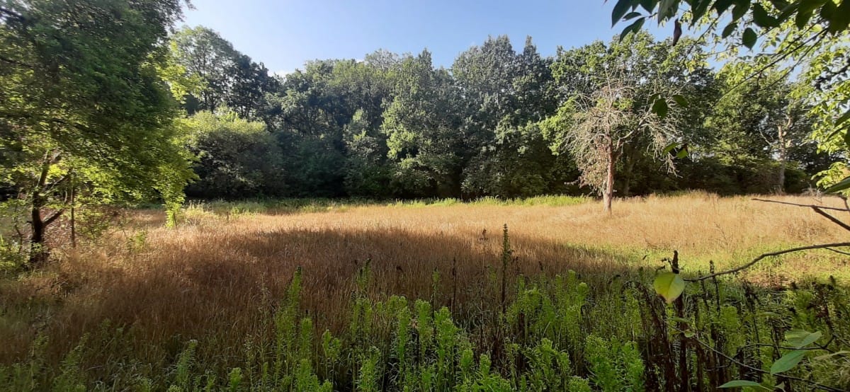 Dom 3 pokojowe na Sprzedaż