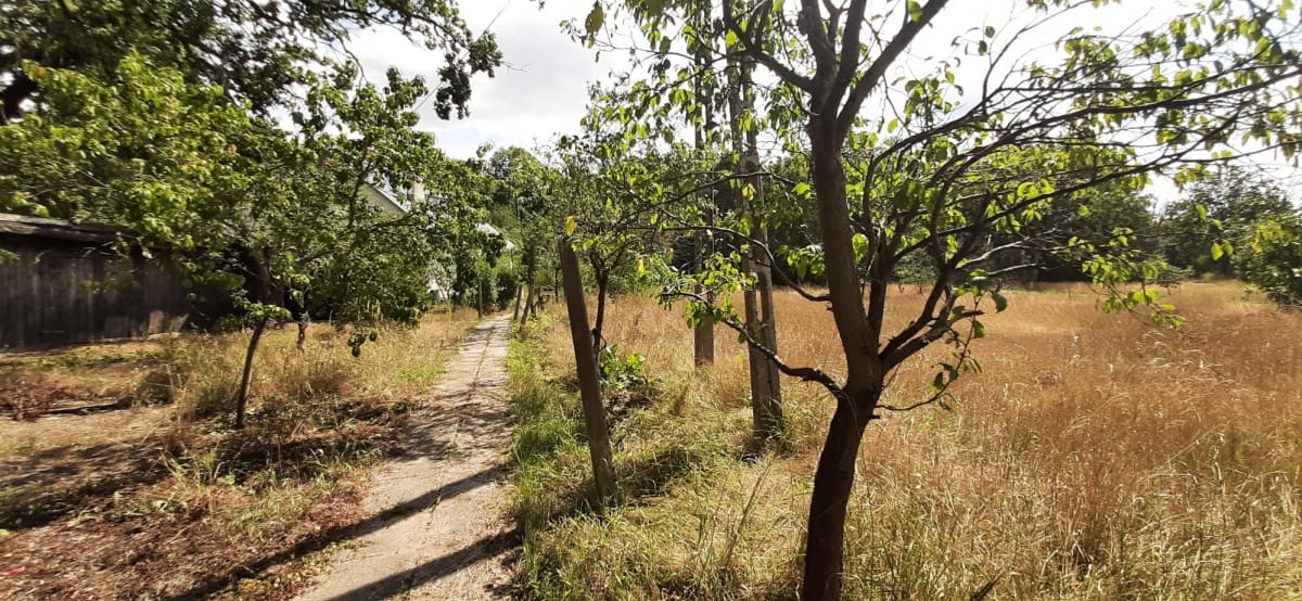 Dom 3 pokojowe na Sprzedaż