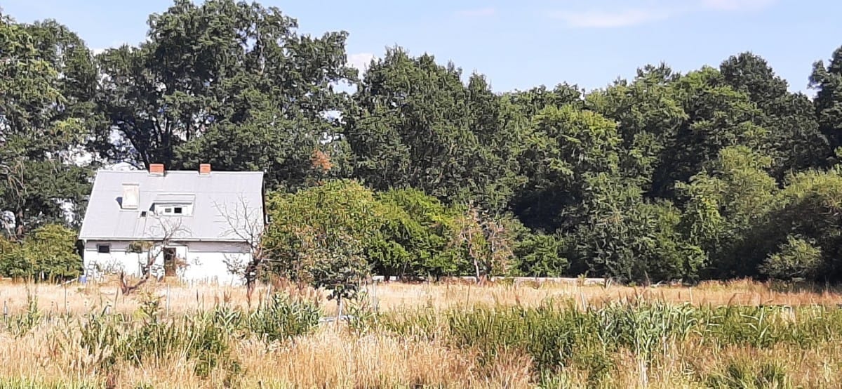 Dom 3 pokojowe na Sprzedaż