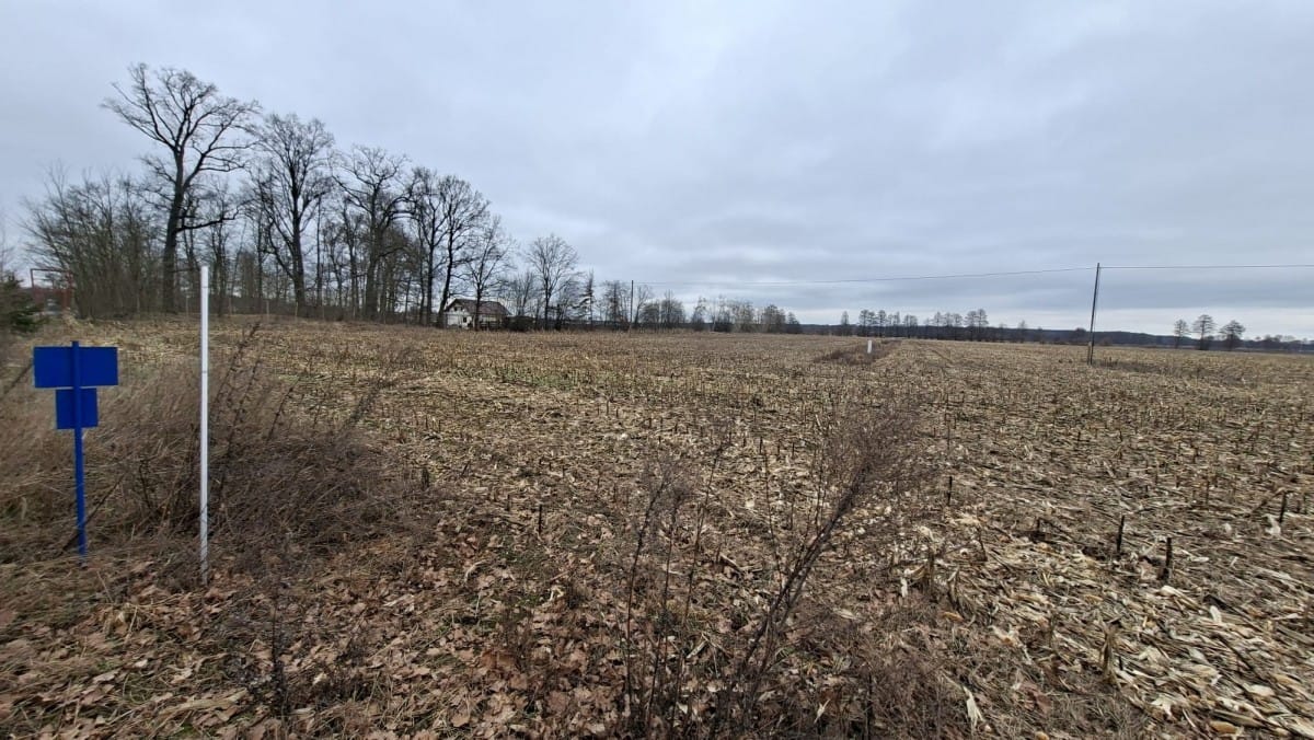 Działka  pokojowe na Sprzedaż