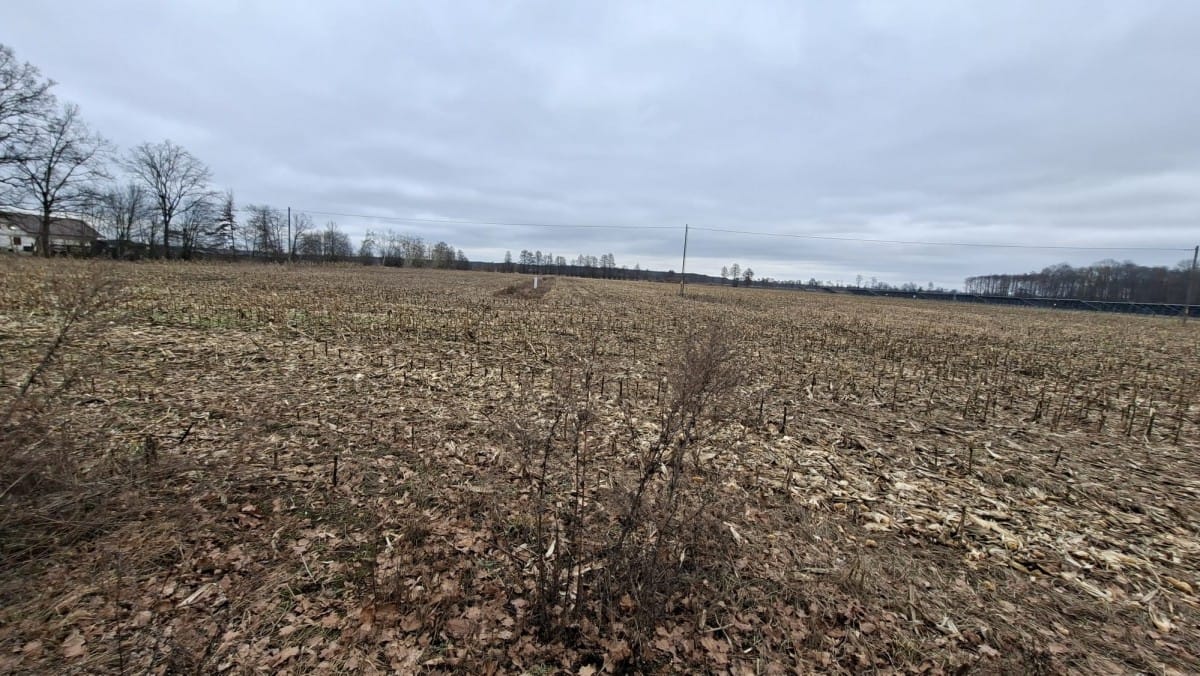 Działka  pokojowe na Sprzedaż