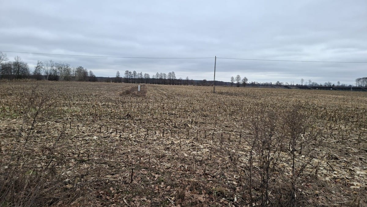 Działka  pokojowe na Sprzedaż