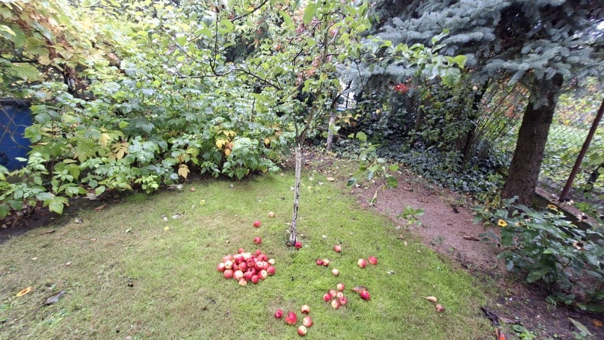 Dom 5 pokojowe na Sprzedaż