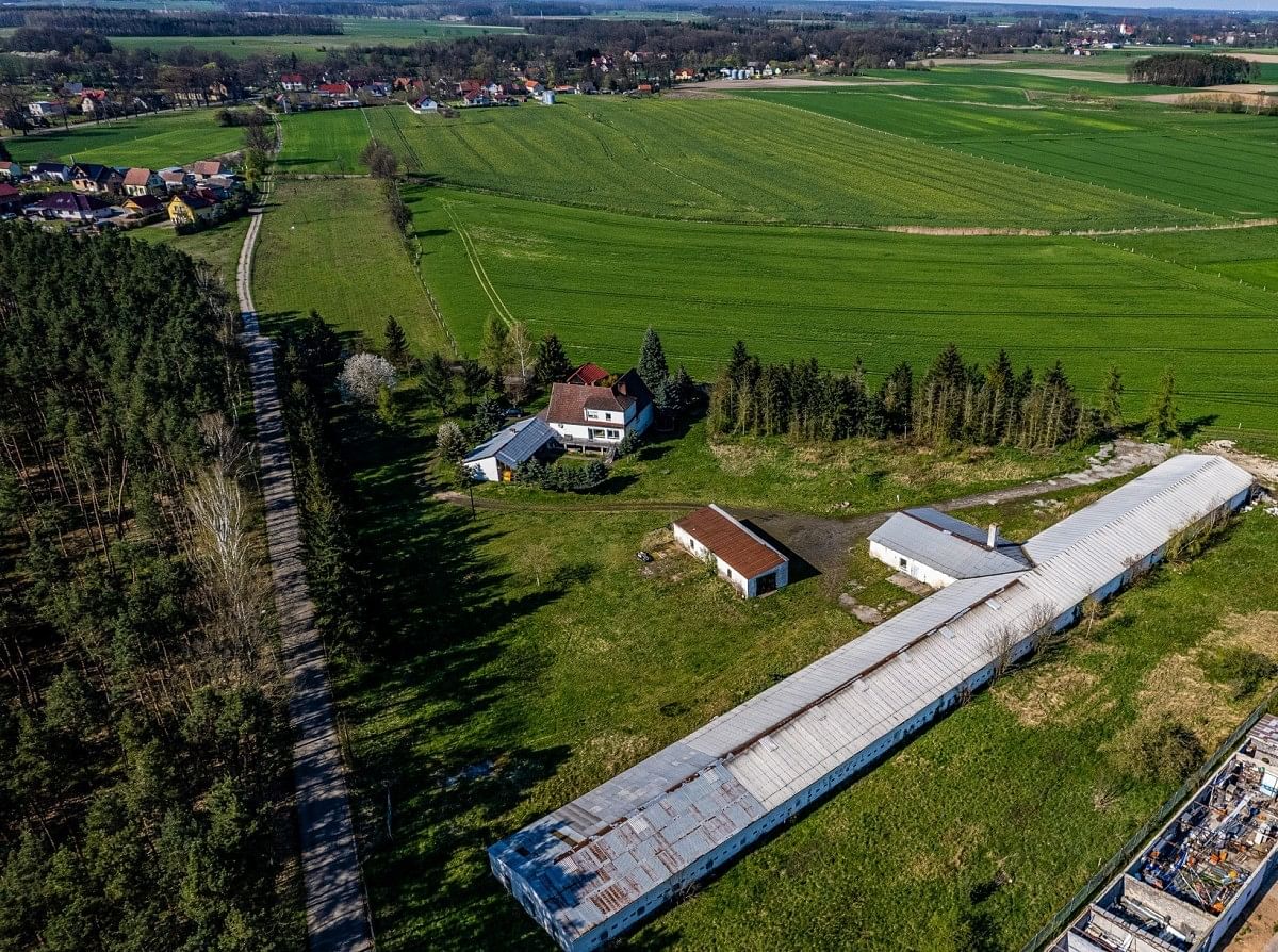 Lokal użytkowy  pokojowe na Sprzedaż