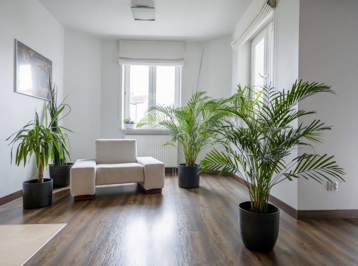 Mieszkanie 5 pokojowe na Sprzedaż