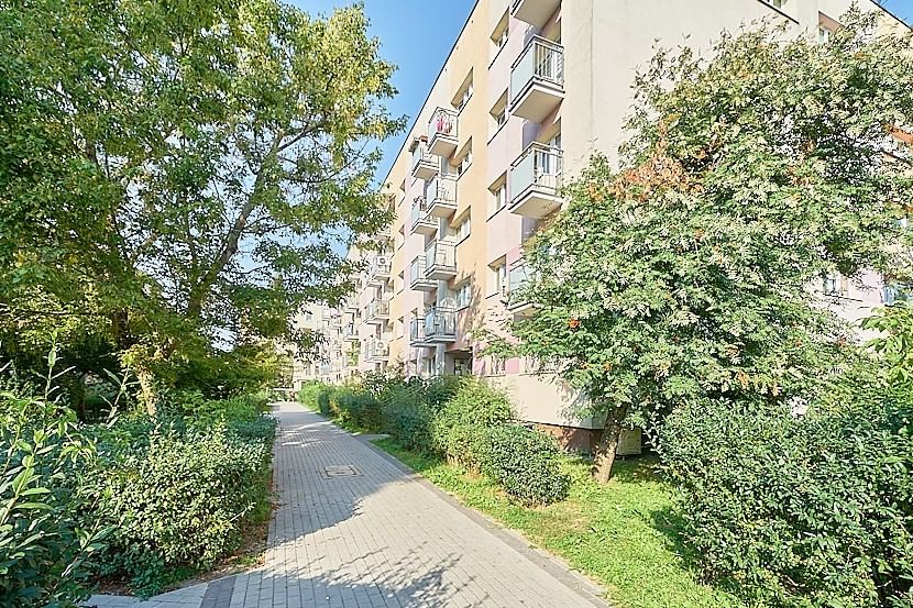 Mieszkanie 1 pokojowe na Wynajem