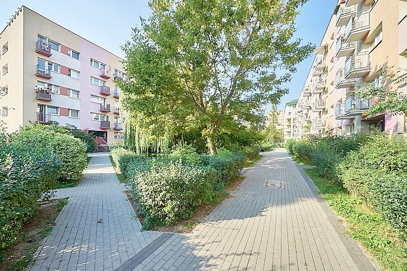 Mieszkanie 1 pokojowe na Wynajem