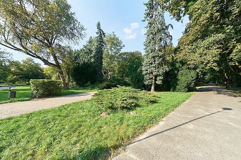 Mieszkanie 1 pokojowe na Wynajem