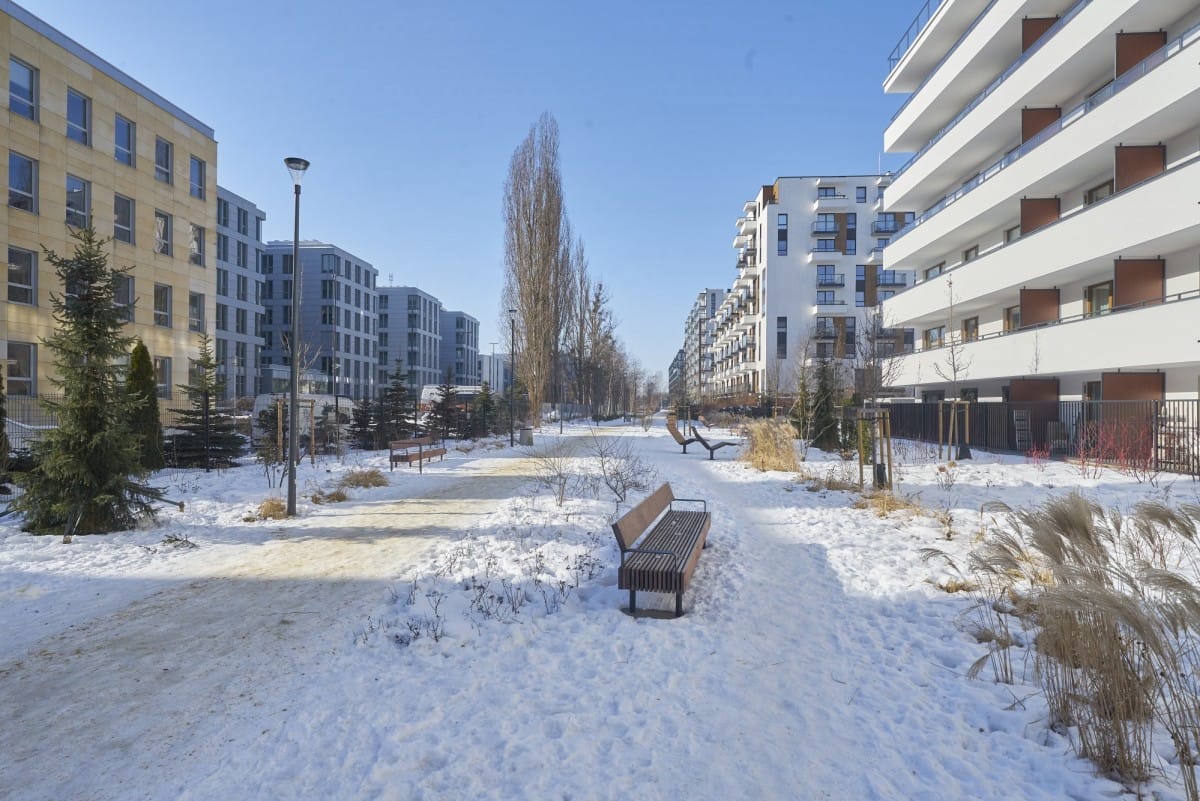 Mieszkanie 3 pokojowe na Wynajem