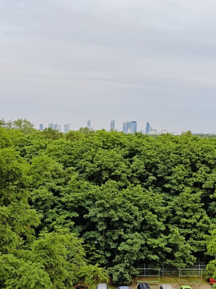 Mieszkanie 7 pokojowe na Sprzedaż