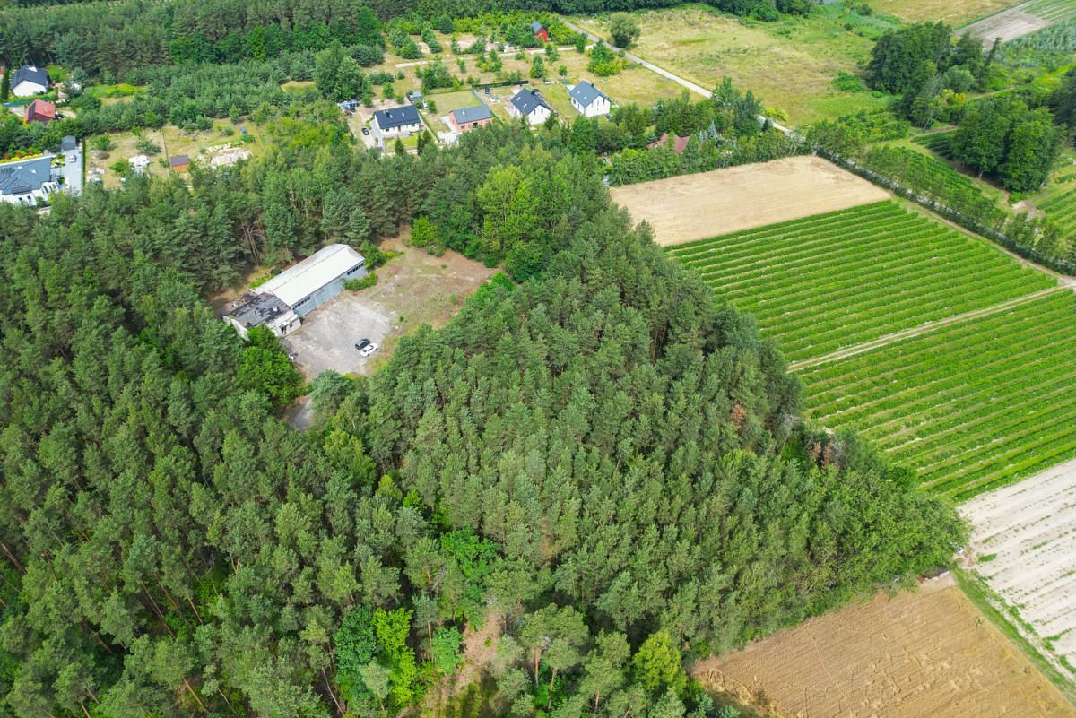 Lokal użytkowy  pokojowe na Sprzedaż