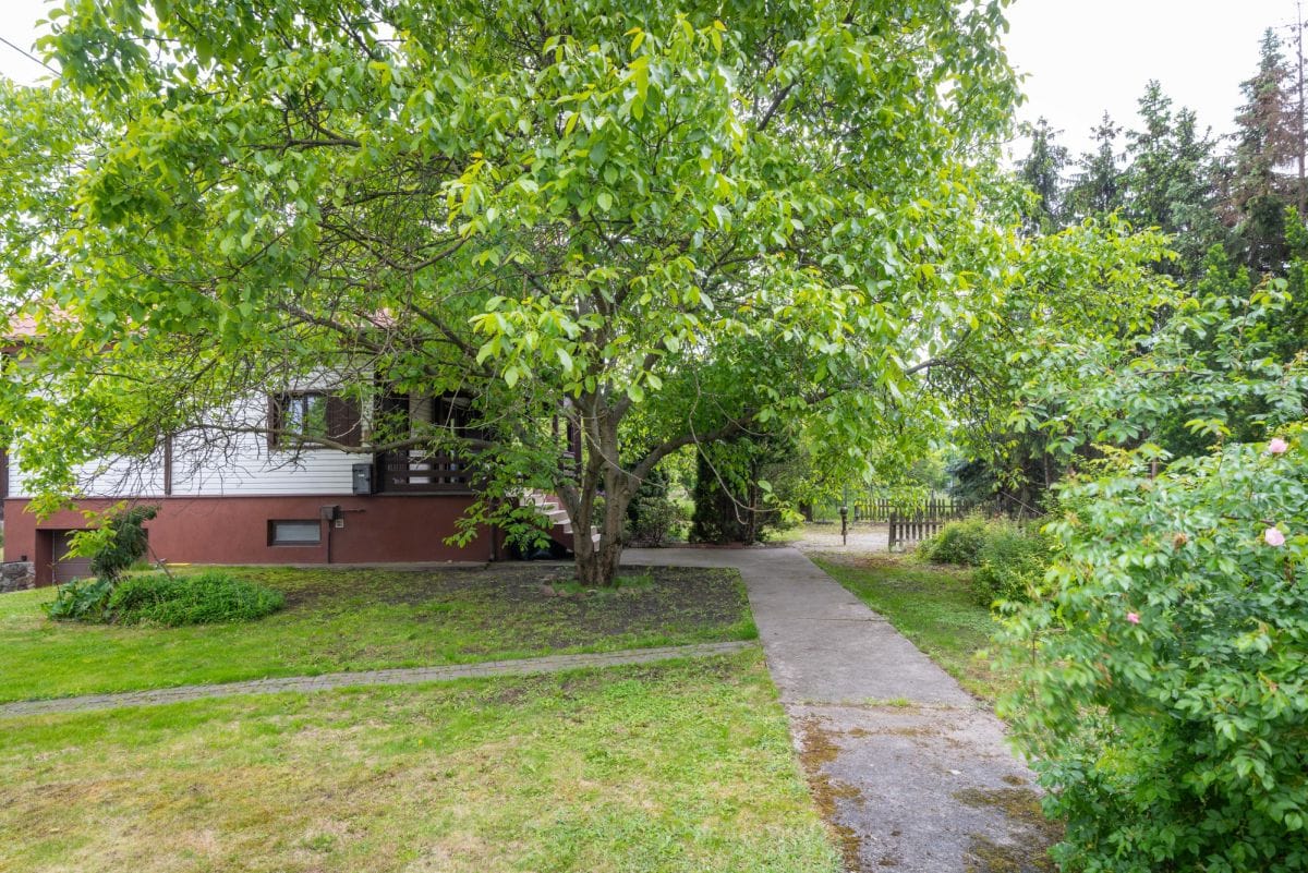 Dom 4 pokojowe na Sprzedaż