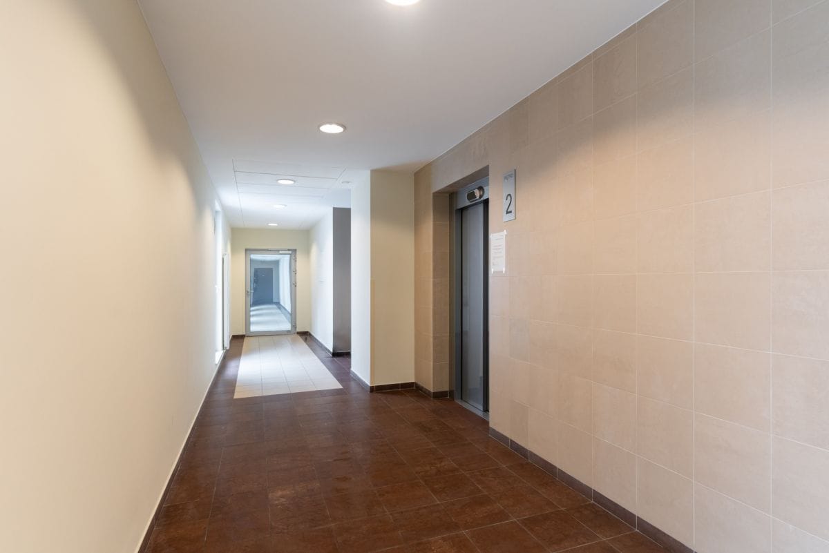 Mieszkanie 3 pokojowe na Wynajem