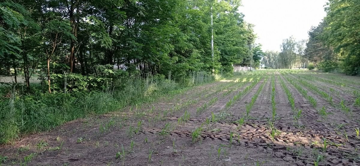 Działka  pokojowe na Sprzedaż