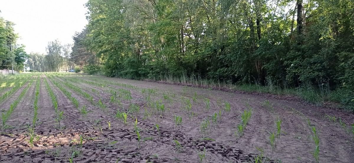 Działka  pokojowe na Sprzedaż