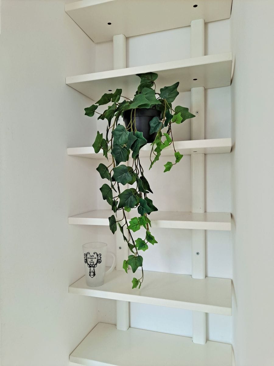 Mieszkanie 1 pokojowe na Wynajem