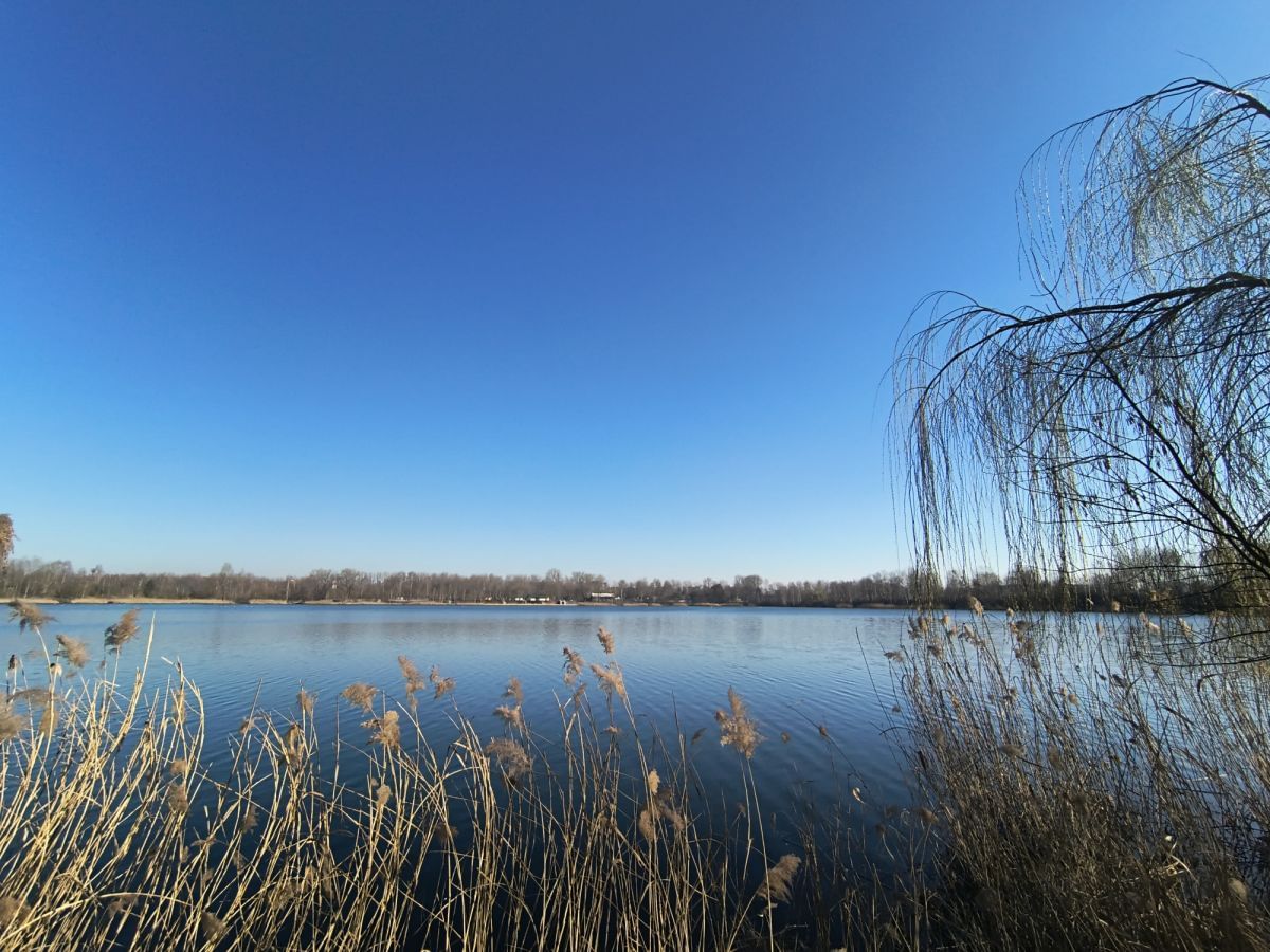 Mieszkanie 2 pokojowe na Wynajem