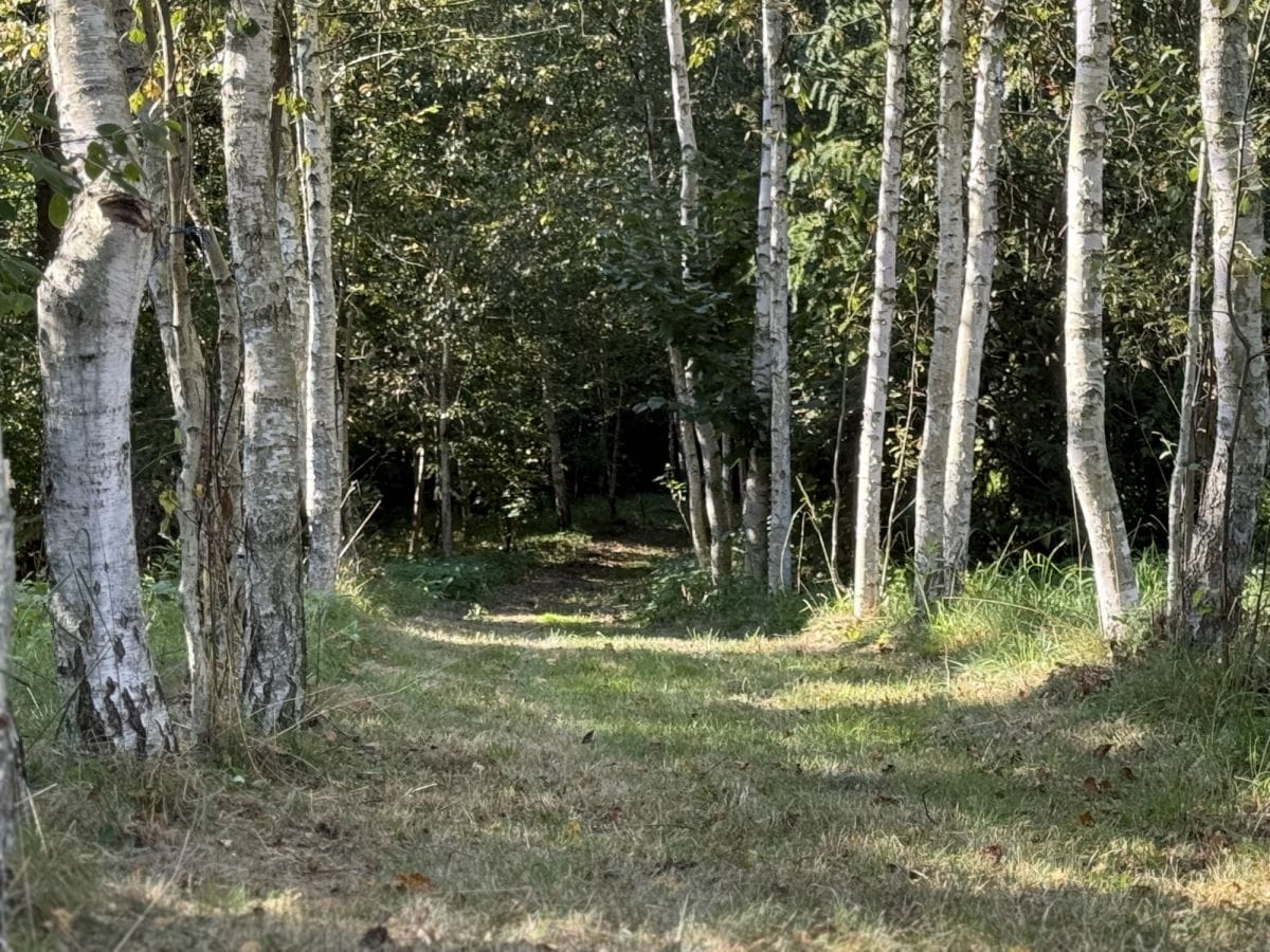 Dom 2 pokojowe na Sprzedaż