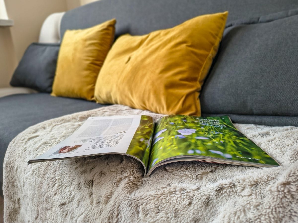 Mieszkanie 3 pokojowe na Wynajem