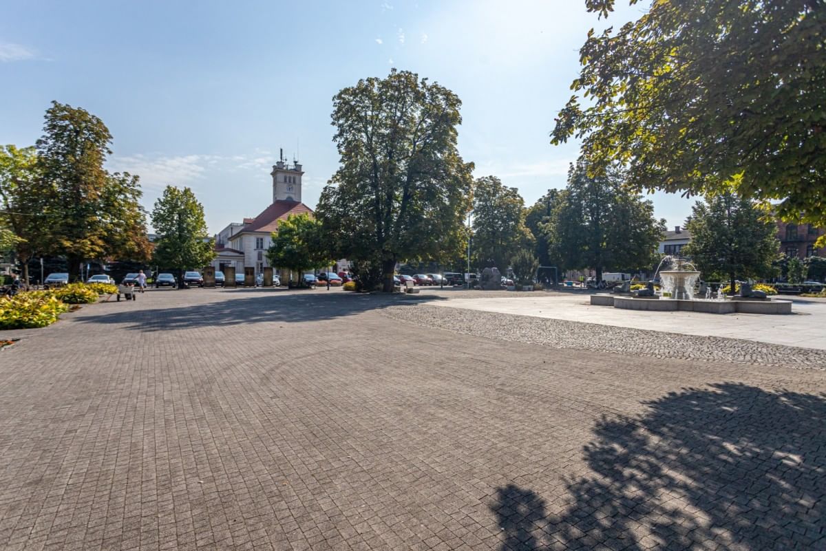 Dom 5 pokojowe na Sprzedaż