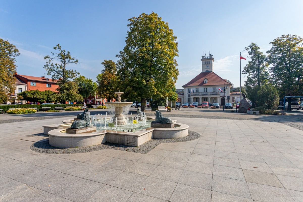 Dom 5 pokojowe na Sprzedaż